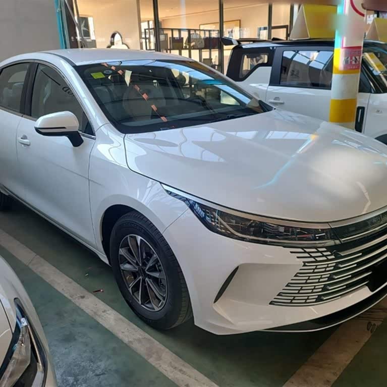 Destroyer 05 2024 Glory Edition DM-i 55KM Luxury Model Destroyer 05 2024 Glory Edition DM-i 55KM Luxury Model