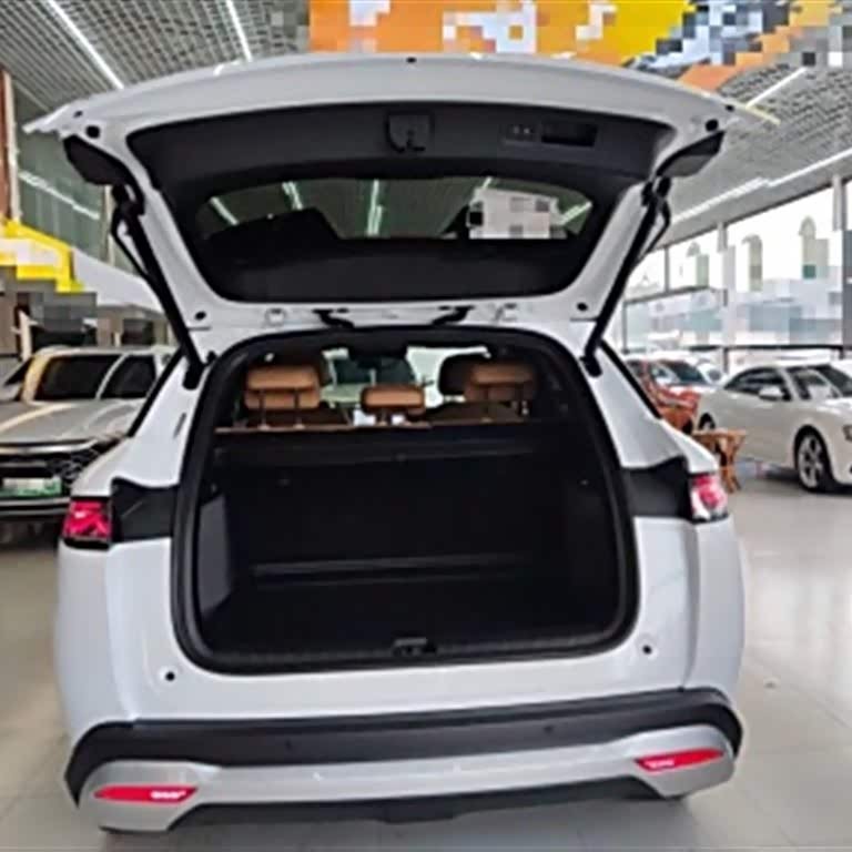 Song L DM-i 2024 model 112km surpassing model Song L DM-i 2024 model 112km surpassing model