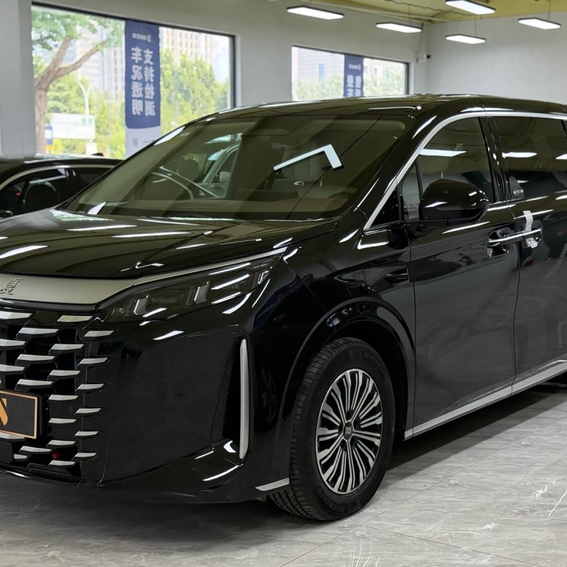 2025 DM-i 1.5T 180km Super Edition 2025 DM-i 1.5T 180km Super Edition