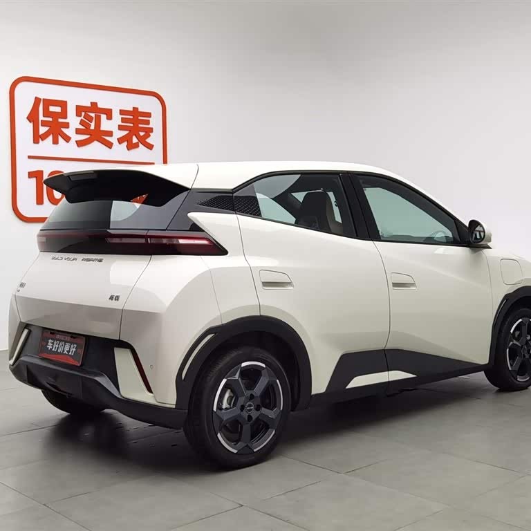 Seagull 2023 Freedom Edition Seagull 2023 Freedom Edition