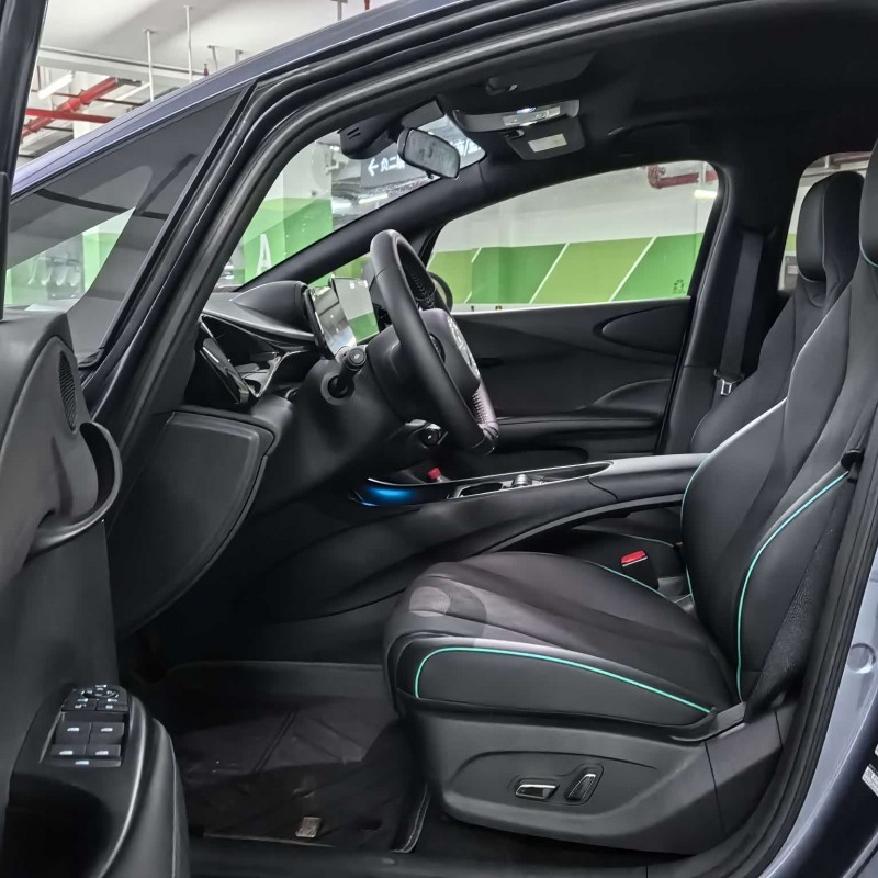 Dolphin 2025 420km Fashion Edition Dolphin 2025 420km Fashion Edition