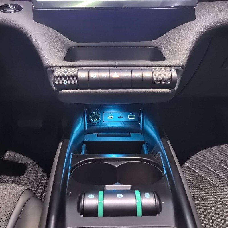 Dolphin 2025 420km Fashion Edition Dolphin 2025 420km Fashion Edition