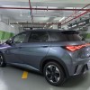 Dolphin 2025 420km Fashion Edition Dolphin 2025 420km Fashion Edition