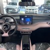 Seagull 2025 Smart Driving Edition 305km Vitality Edition