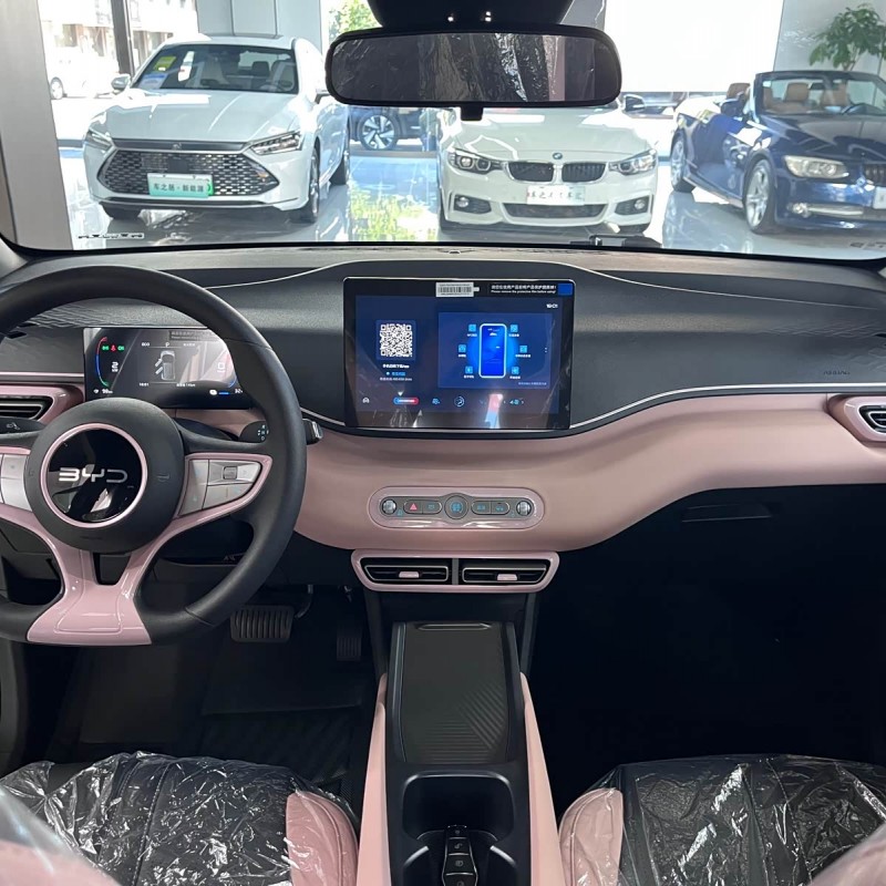 Seagull 2025 Smart Driving Edition 305km Vitality Edition Seagull 2025 Smart Driving Edition 305km Vitality Edition