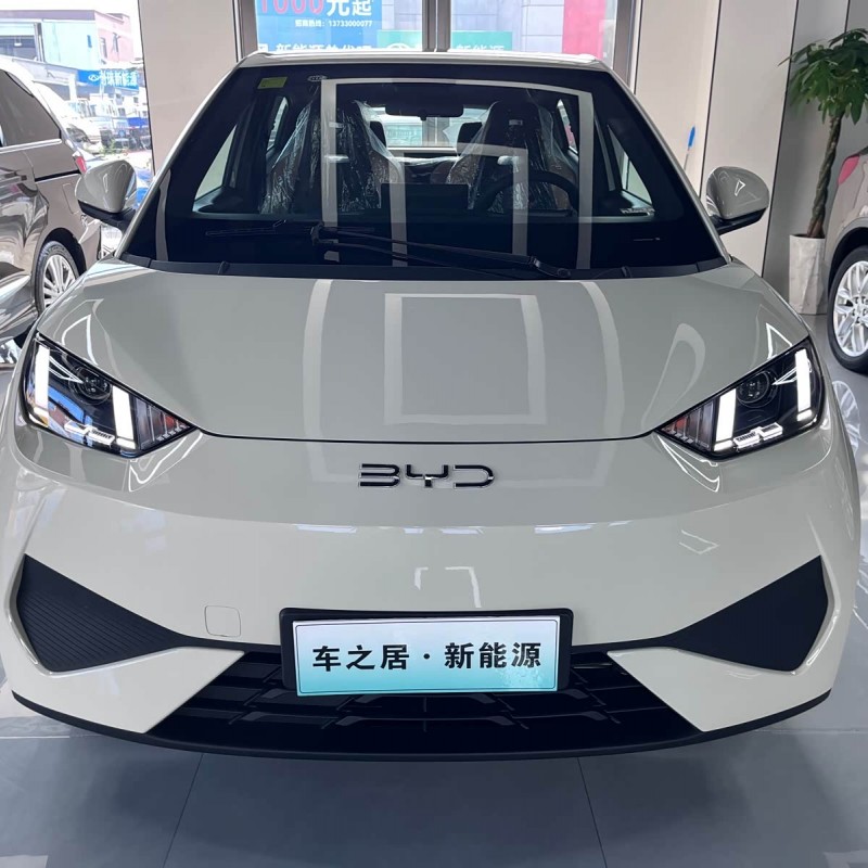 Seagull 2025 Smart Driving Edition 305km Vitality Edition Seagull 2025 Smart Driving Edition 305km Vitality Edition
