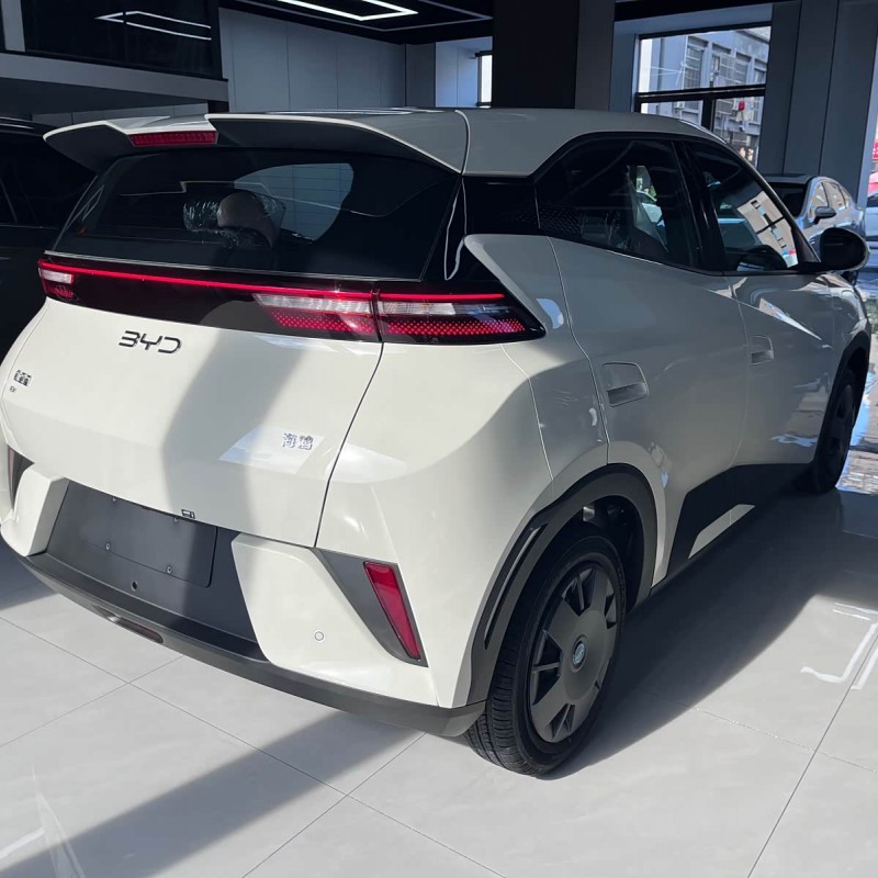 Seagull 2025 Smart Driving Edition 305km Vitality Edition Seagull 2025 Smart Driving Edition 305km Vitality Edition
