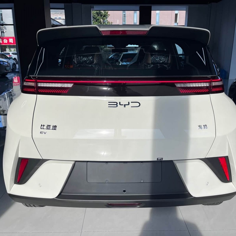 Seagull 2025 Smart Driving Edition 305km Vitality Edition Seagull 2025 Smart Driving Edition 305km Vitality Edition