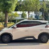 Seagull 2024 Glory Edition 305km Vitality Edition