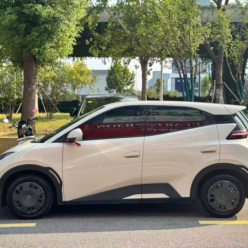 Seagull 2024 Glory Edition 305km Vitality Edition Seagull 2024 Glory Edition 305km Vitality Edition