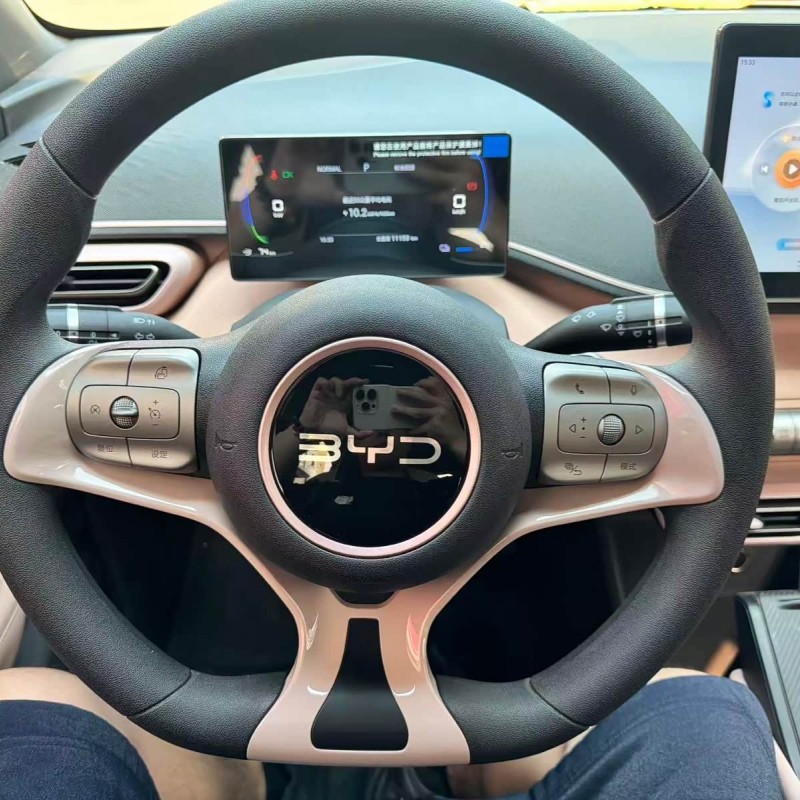 Seagull 2024 Glory Edition 305km Vitality Edition Seagull 2024 Glory Edition 305km Vitality Edition