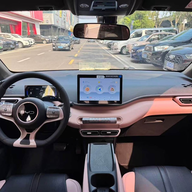 Seagull 2024 Glory Edition 305km Vitality Edition Seagull 2024 Glory Edition 305km Vitality Edition