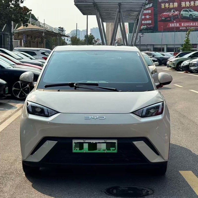 Seagull 2024 Glory Edition 305km Vitality Edition Seagull 2024 Glory Edition 305km Vitality Edition