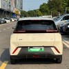 Seagull 2024 Glory Edition 305km Vitality Edition