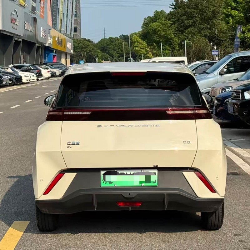 Seagull 2024 Glory Edition 305km Vitality Edition Seagull 2024 Glory Edition 305km Vitality Edition