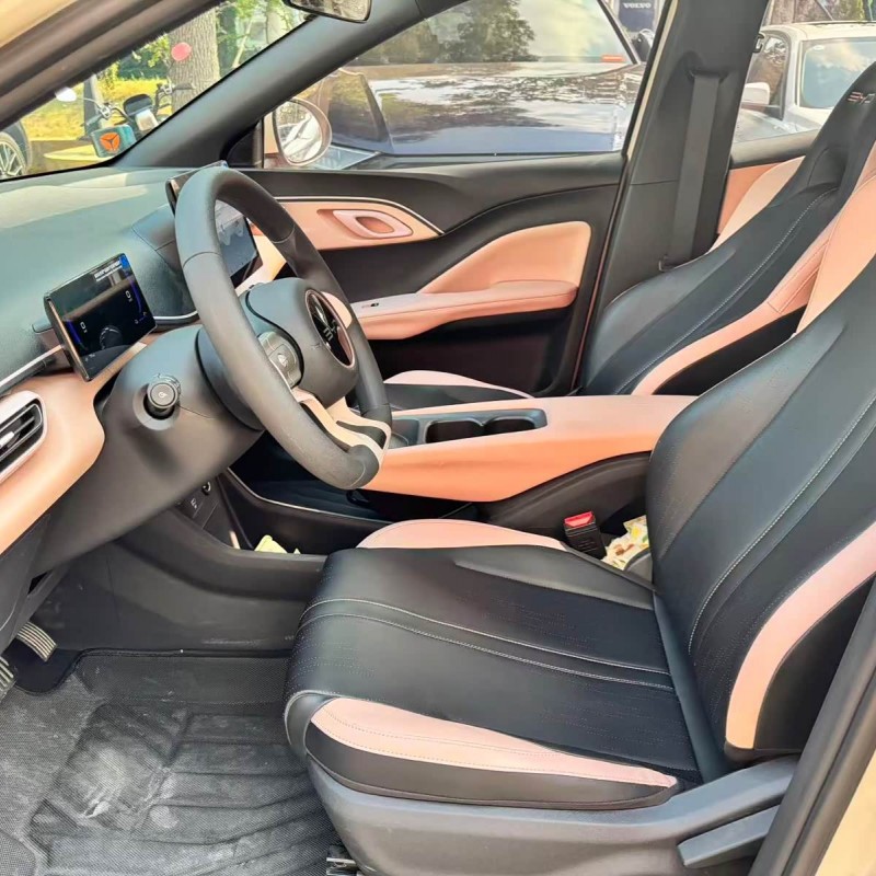 Seagull 2024 Glory Edition 305km Vitality Edition Seagull 2024 Glory Edition 305km Vitality Edition