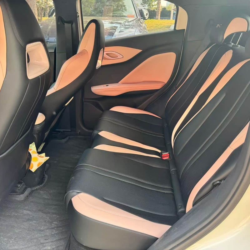 Seagull 2024 Glory Edition 305km Vitality Edition Seagull 2024 Glory Edition 305km Vitality Edition