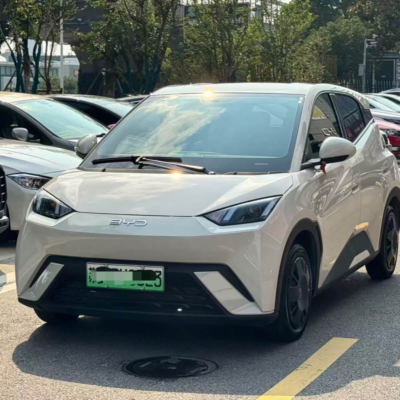 Seagull 2024 Glory Edition 305km Vitality Edition