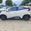 Seagull 2025 305km Vitality Edition