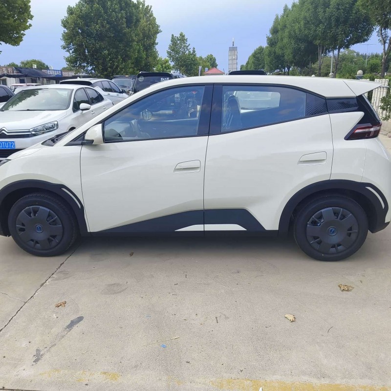 Seagull 2025 305km Vitality Edition Seagull 2025 305km Vitality Edition