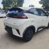 Seagull 2025 305km Vitality Edition