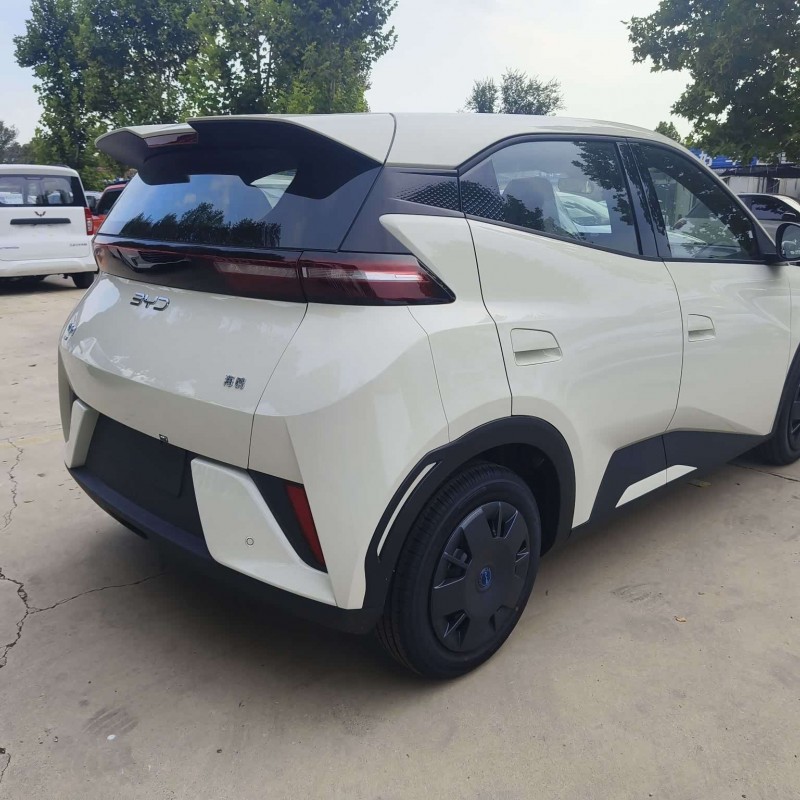 Seagull 2025 305km Vitality Edition Seagull 2025 305km Vitality Edition