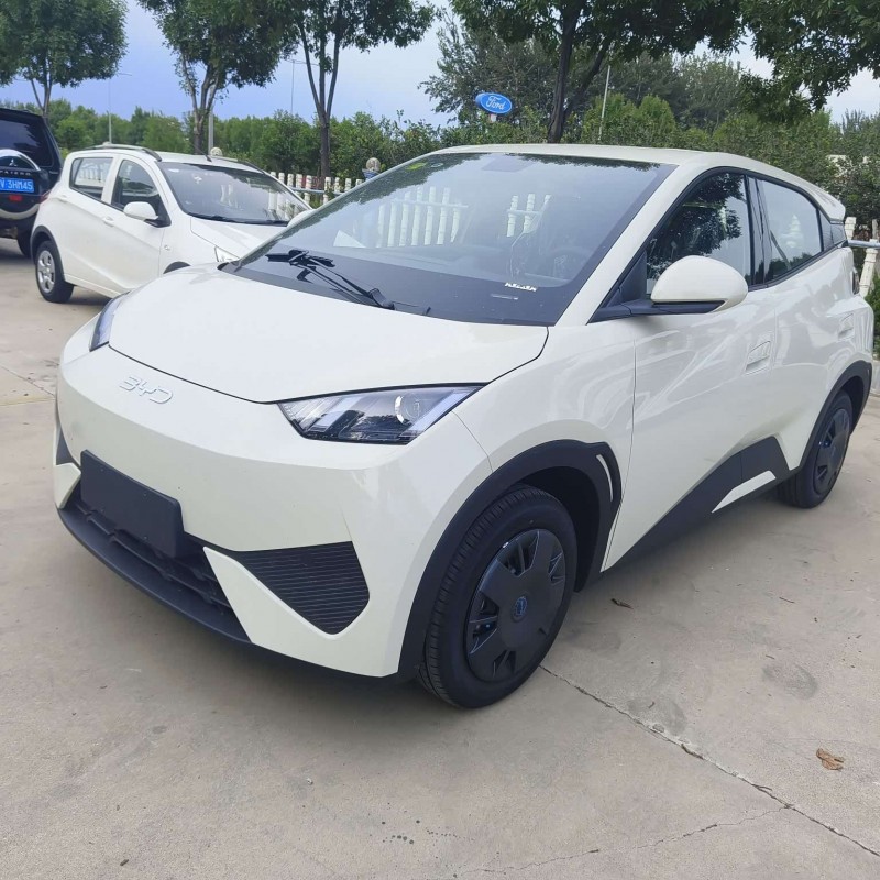 Seagull 2025 305km Vitality Edition