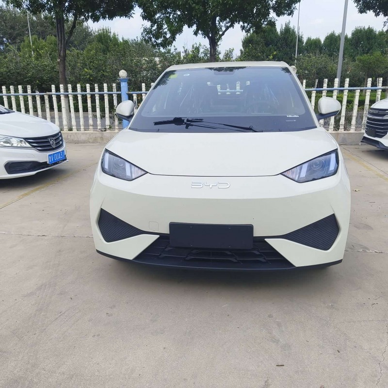Seagull 2025 305km Vitality Edition Seagull 2025 305km Vitality Edition