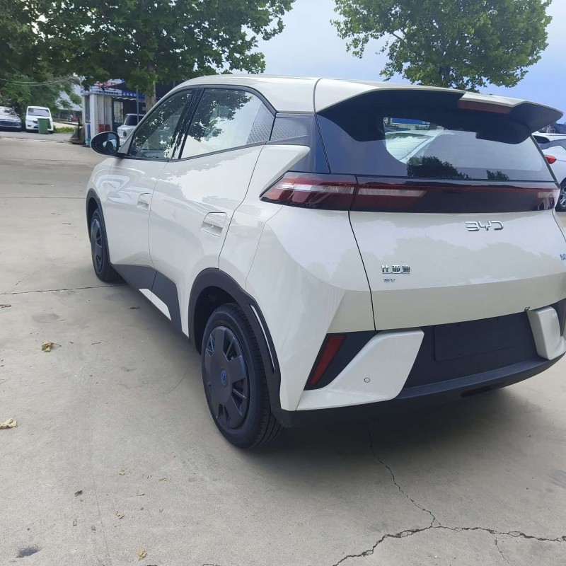 Seagull 2025 305km Vitality Edition Seagull 2025 305km Vitality Edition