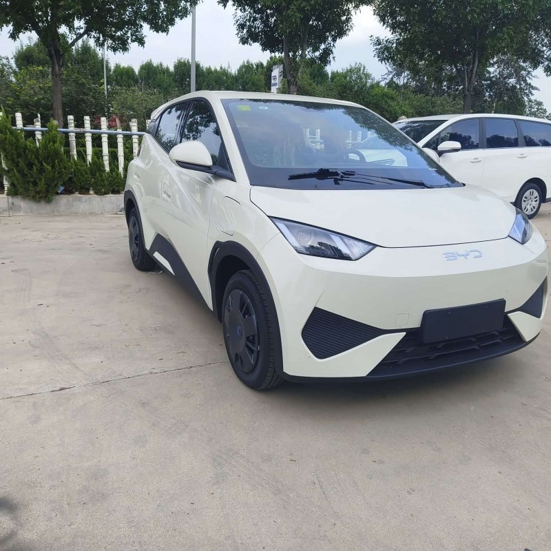 Seagull 2025 305km Vitality Edition Seagull 2025 305km Vitality Edition