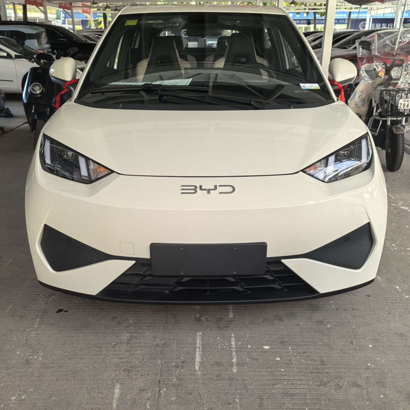 Seagull 2025 Smart Driving Edition 405km Free Edition