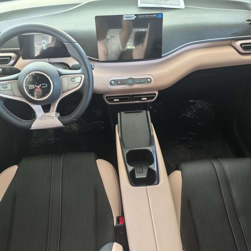 Seagull 2025 Smart Driving Edition 405km Free Edition Seagull 2025 Smart Driving Edition 405km Free Edition