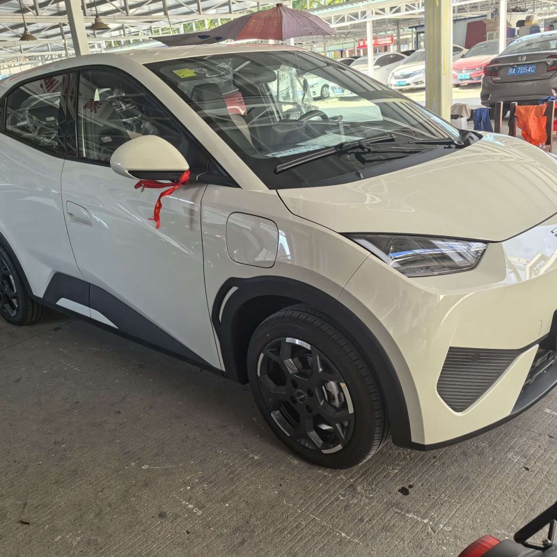 Seagull 2025 Smart Driving Edition 405km Free Edition Seagull 2025 Smart Driving Edition 405km Free Edition