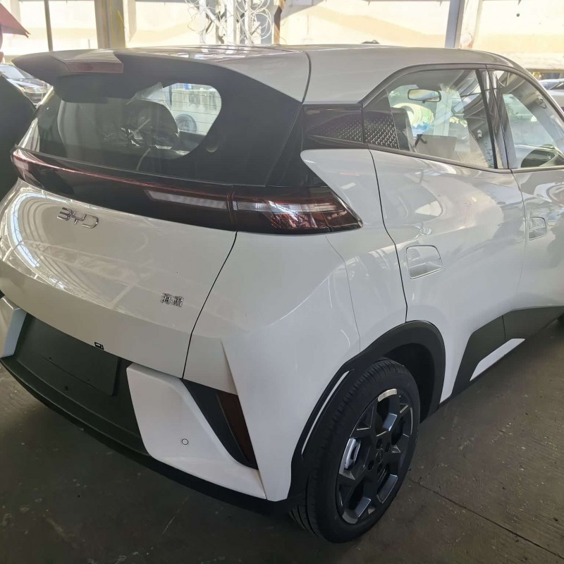 Seagull 2025 Smart Driving Edition 405km Free Edition Seagull 2025 Smart Driving Edition 405km Free Edition
