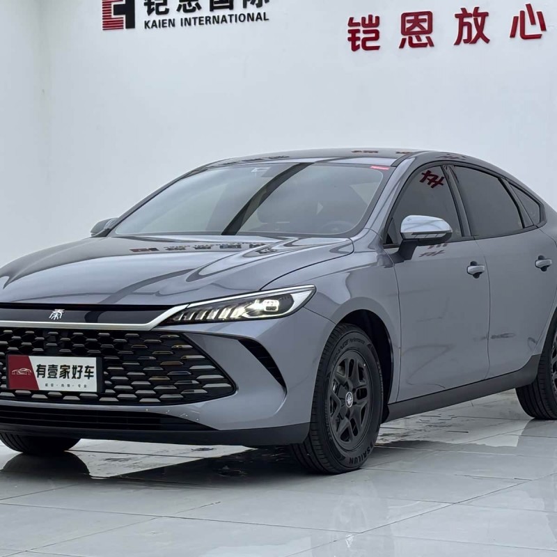 Qin PLUS 2025 DM-i Intelligent Driving Edition 55KM Leading Edition