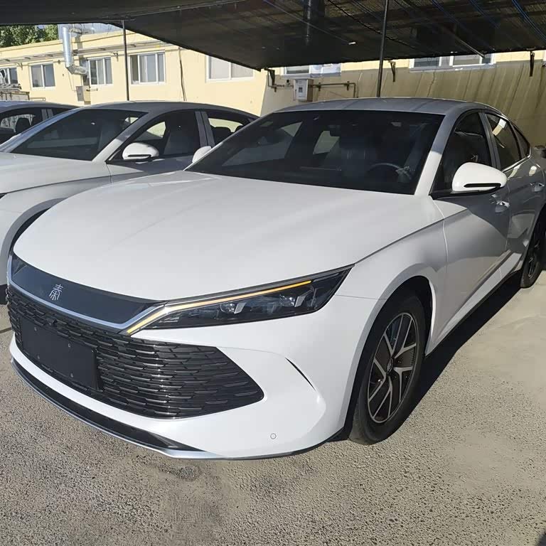 Qin L 2024 DM-i 80KM Beyond Edition