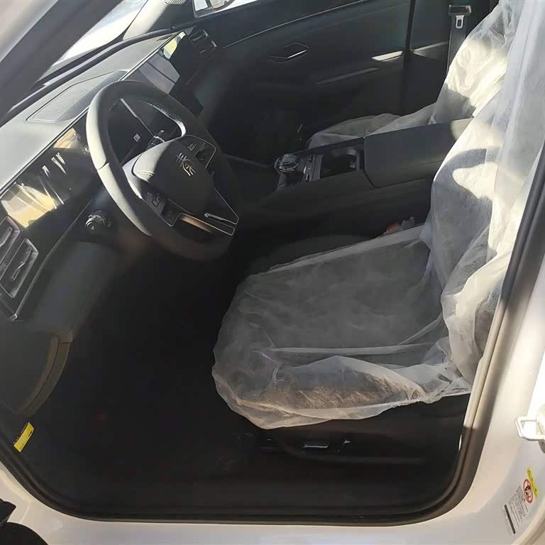 Qin L 2024 DM-i 80KM Beyond Edition Qin L 2024 DM-i 80KM Beyond Edition