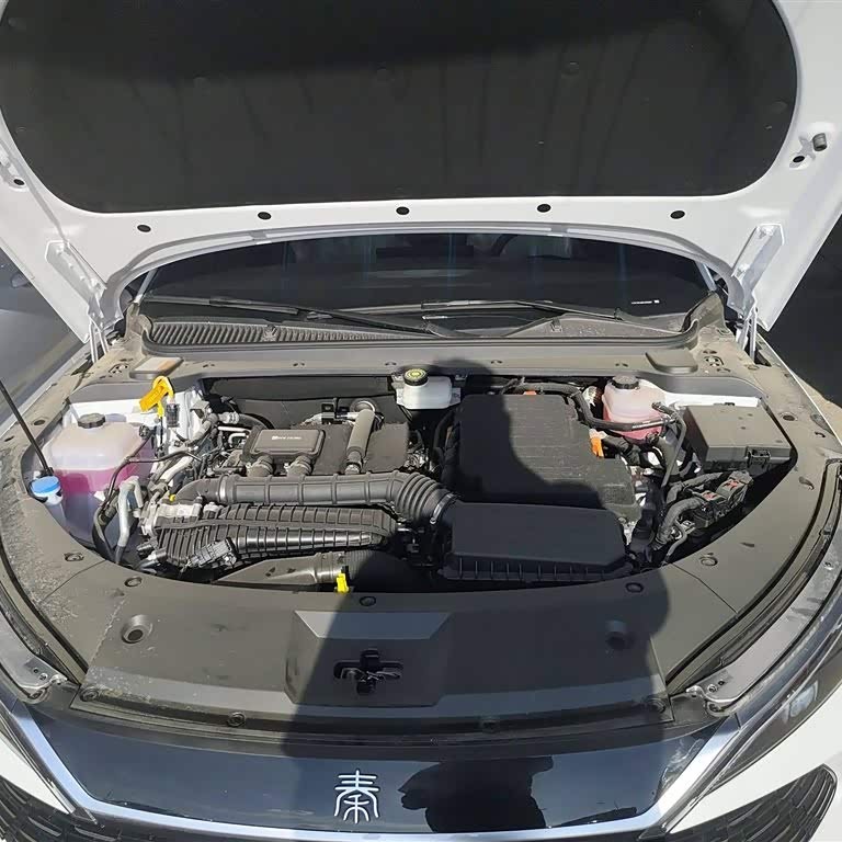 Qin L 2024 DM-i 80KM Beyond Edition Qin L 2024 DM-i 80KM Beyond Edition