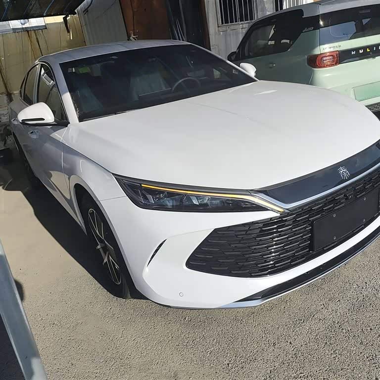 Qin L 2024 DM-i 80KM Beyond Edition Qin L 2024 DM-i 80KM Beyond Edition