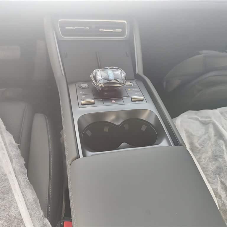 Qin L 2024 DM-i 80KM Beyond Edition Qin L 2024 DM-i 80KM Beyond Edition