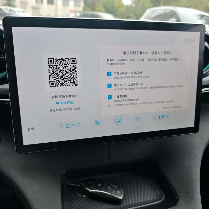 Dolphin 2025 420km Fashion Edition Dolphin 2025 420km Fashion Edition
