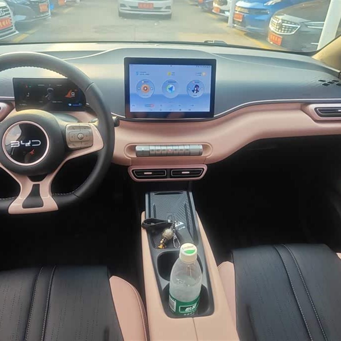 Seagull 2025 305km Freedom Edition Seagull 2025 305km Freedom Edition