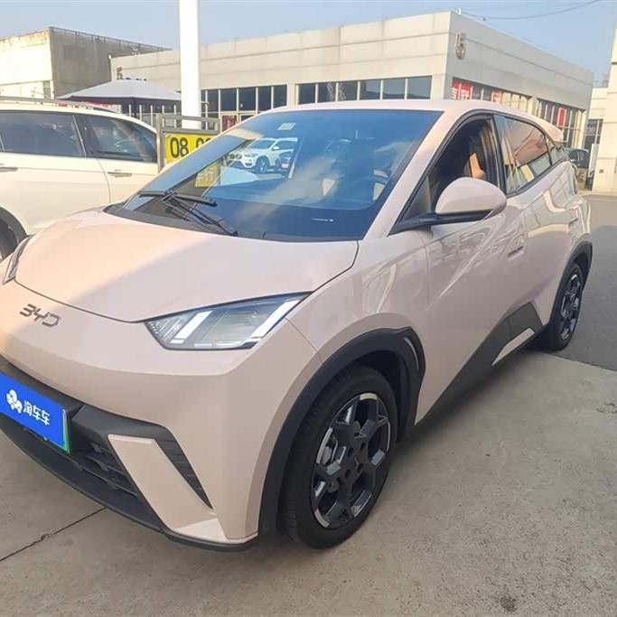 Seagull 2025 305km Freedom Edition