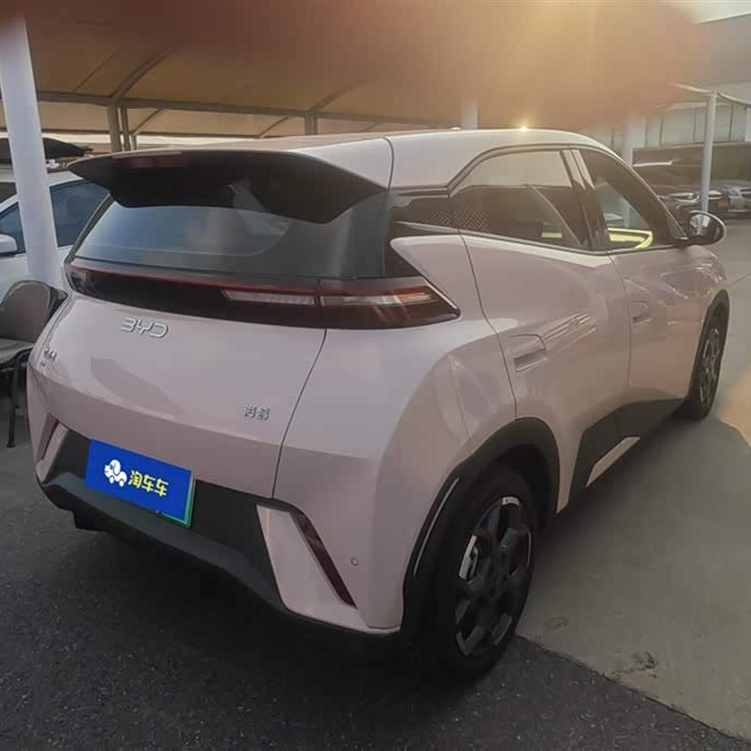 Seagull 2025 305km Freedom Edition Seagull 2025 305km Freedom Edition