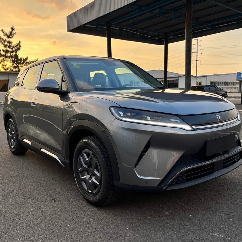 Yuan UP 2025 301KM Pilot Edition Yuan UP 2025 301KM Pilot Edition