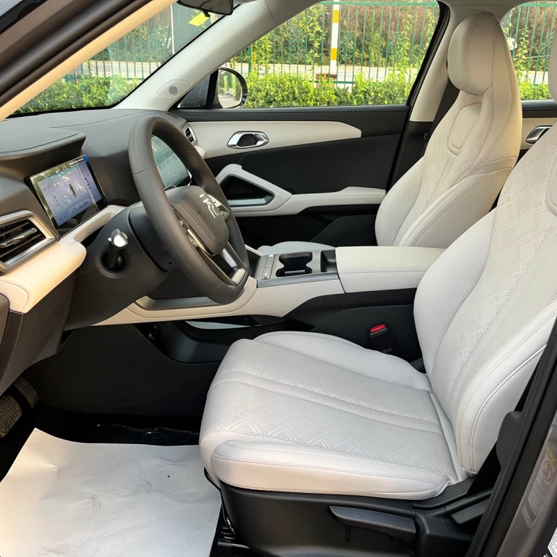 Yuan UP 2025 301KM Pilot Edition Yuan UP 2025 301KM Pilot Edition