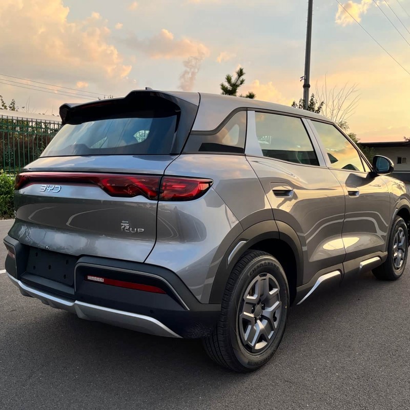 Yuan UP 2025 301KM Pilot Edition Yuan UP 2025 301KM Pilot Edition