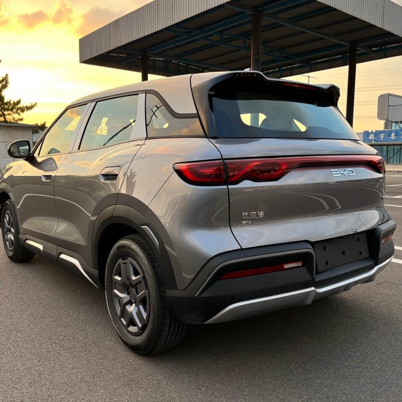Yuan UP 2025 301KM Pilot Edition Yuan UP 2025 301KM Pilot Edition