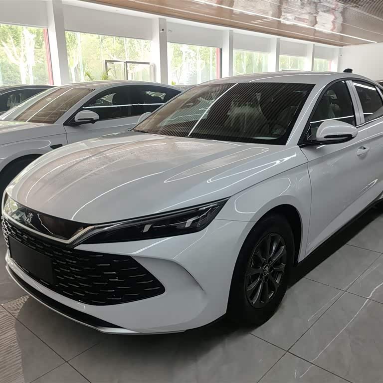 Qin L 2024 DM-i 80KM Leading Edition
