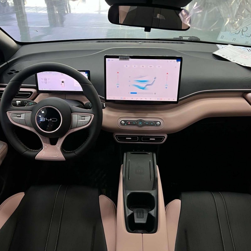 Seagull 2025 Smart Driving Edition 305km Free Edition Seagull 2025 Smart Driving Edition 305km Free Edition